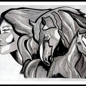 N° 13